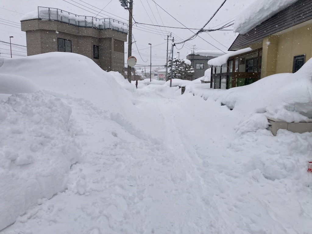 春が待ち遠しいです！ 画像
