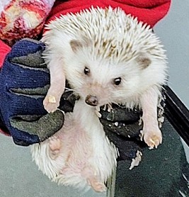 可愛い動物たちに癒されました✨ 画像
